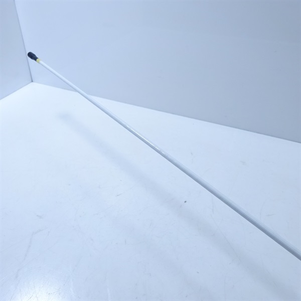 １８ＩＧＨＳアペルト アオリイカ２－５２０